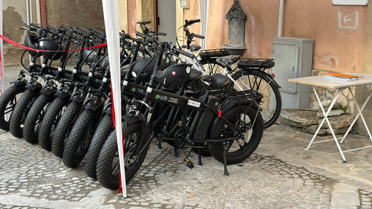 Noleggio e-bike